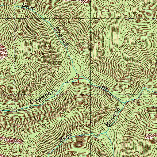 Topographic Map of Dan Branch, TN