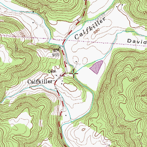 Topographic Map of Davidson Cove, TN