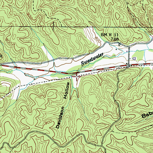 Topographic Map of Davidson Hollow, TN