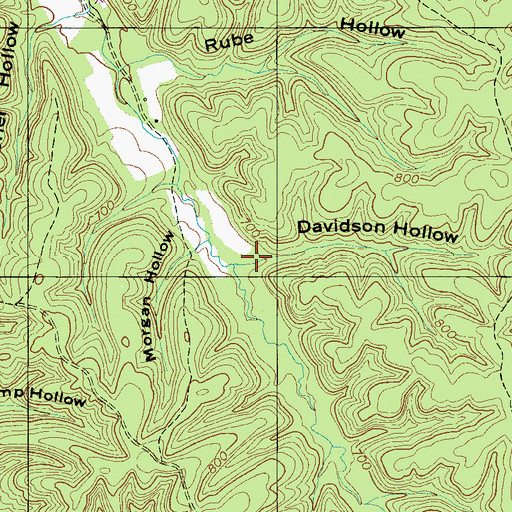 Topographic Map of Davidson Hollow, TN