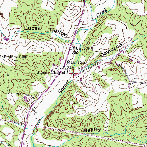 Topographic Map of Davidson Hollow, TN