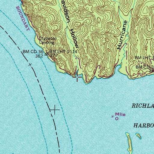 Topographic Map of Davidson Hollow, TN