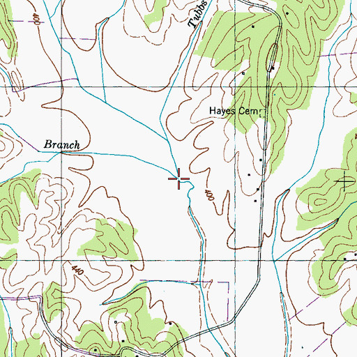 Topographic Map of Davis Branch, TN