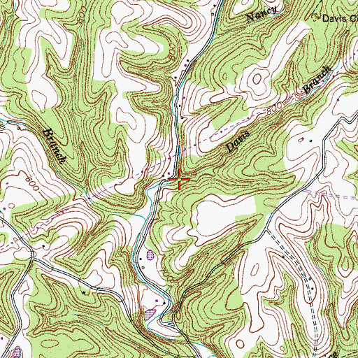 Topographic Map of Davis Branch, TN