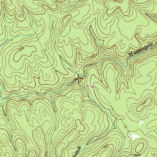 Topographic Map of Davis Branch, TN