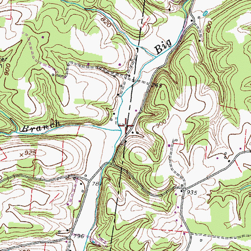 Topographic Map of Davis Branch, TN