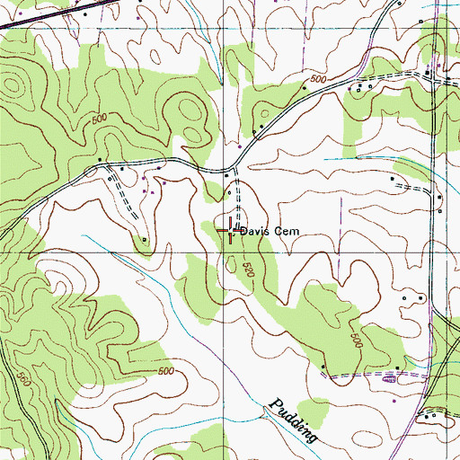 Topographic Map of Davis Cemetery, TN
