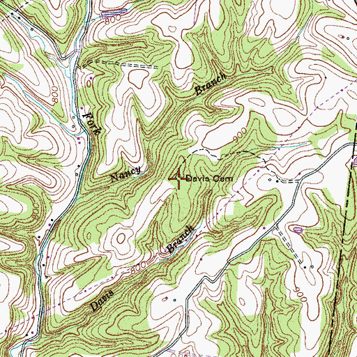 Topographic Map of Davis Cemetery, TN