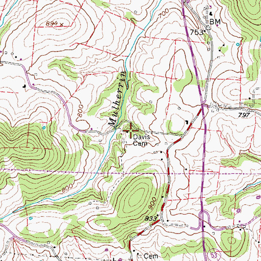 Topographic Map of Davis Cemetery, TN