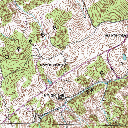 Topographic Map of Davis Cemetery, TN
