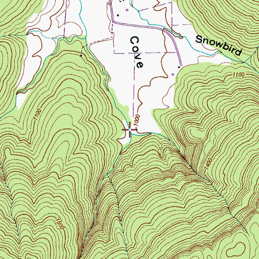 Topographic Map of Davis Cove, TN