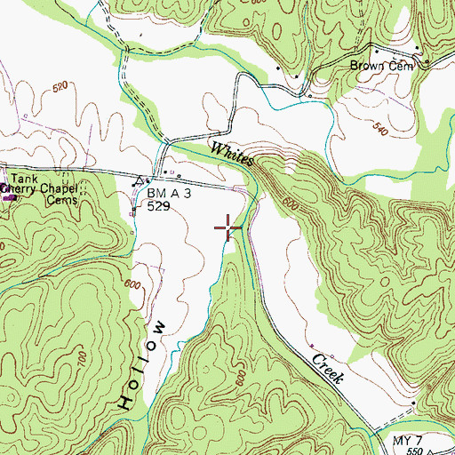 Topographic Map of Davis Hollow, TN