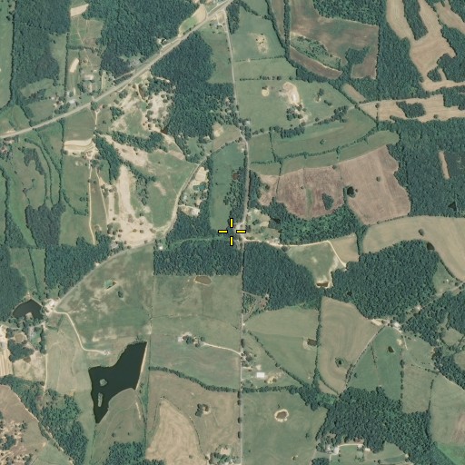 Aerial/Satellite Image of Davis School, TN
