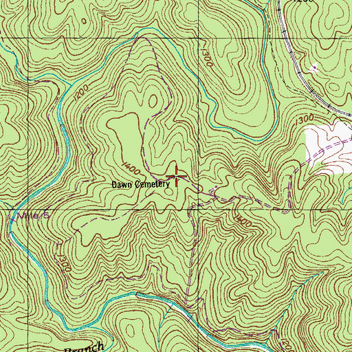 Topographic Map of Dawn Cemetery, TN