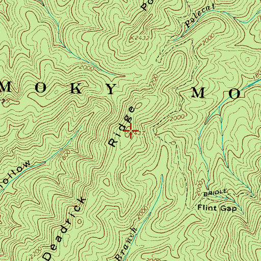 Topographic Map of Deadrick Ridge, TN