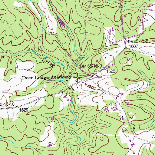 Topographic Map of Deer Lodge Academy, TN