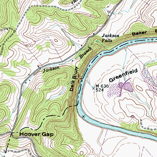 Topographic Map of Delk Bluff, TN