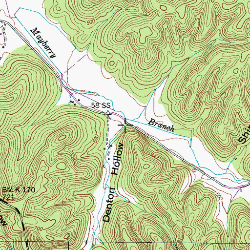 Topographic Map of Denton Hollow, TN