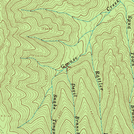 Topographic Map of Devil Branch, TN