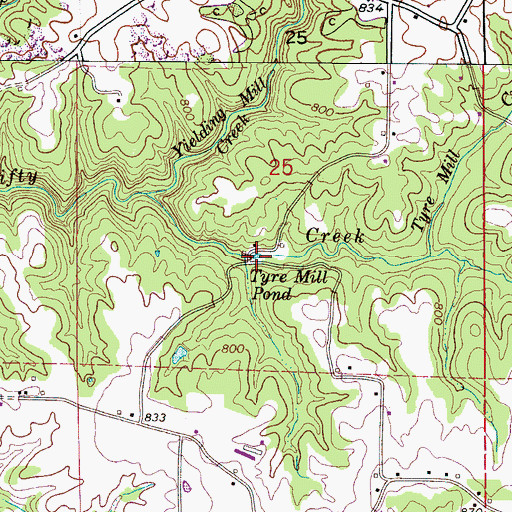 Topographic Map of Tyre Mill Pond, AL