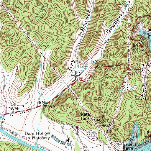 Topographic Map of Dewberry Hollow, TN