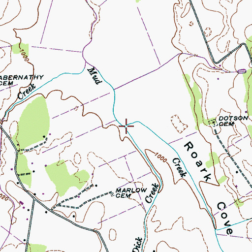 Topographic Map of Dick Creek, TN