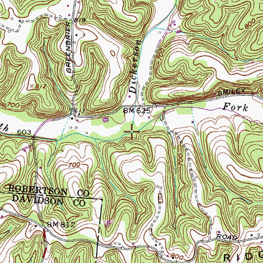 Topographic Map of Dickerson Branch, TN