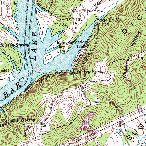 Topographic Map of Dickey Spring, TN