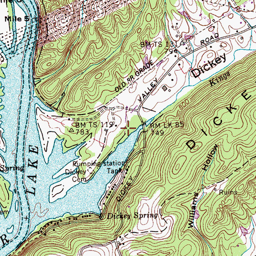 Topographic Map of Dickey Valley, TN