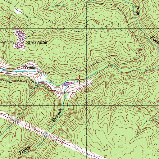 Topographic Map of Dicks Branch, TN