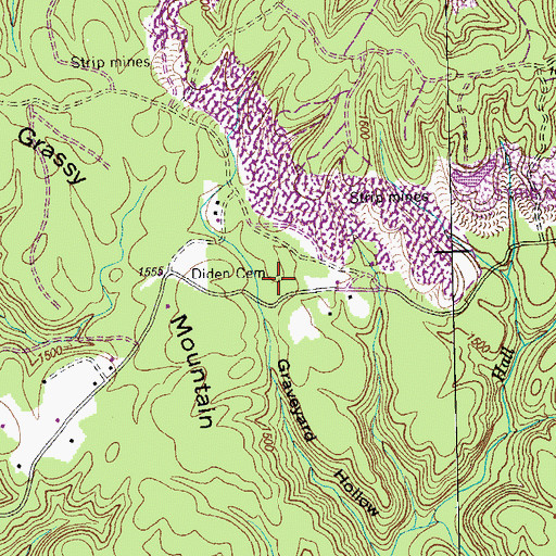 Topographic Map of Diden Cemetery, TN