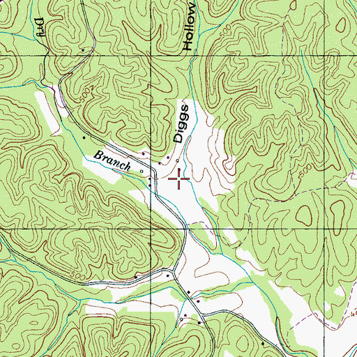 Topographic Map of Diggs Hollow, TN