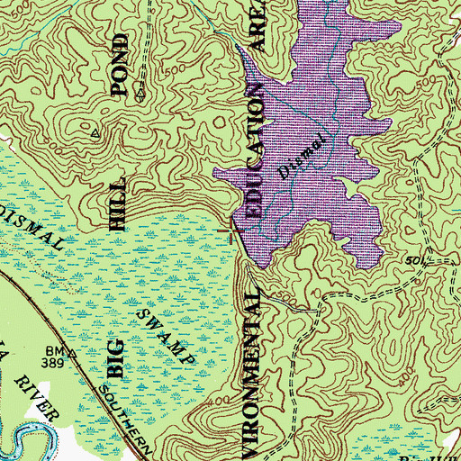 Topographic Map of Dismal Branch, TN