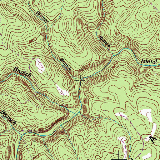 Topographic Map of Dismal Branch, TN