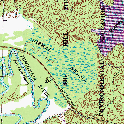 Topographic Map of Dismal Swamp, TN