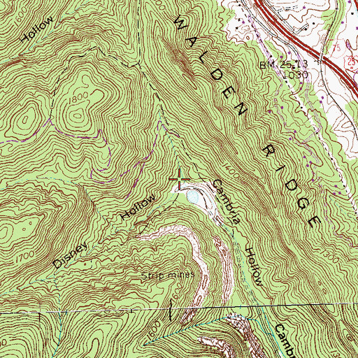 Topographic Map of Disney Hollow, TN