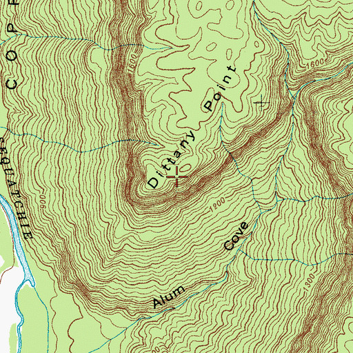 Topographic Map of Dittany Point, TN
