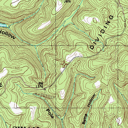Topographic Map of Dividing, TN