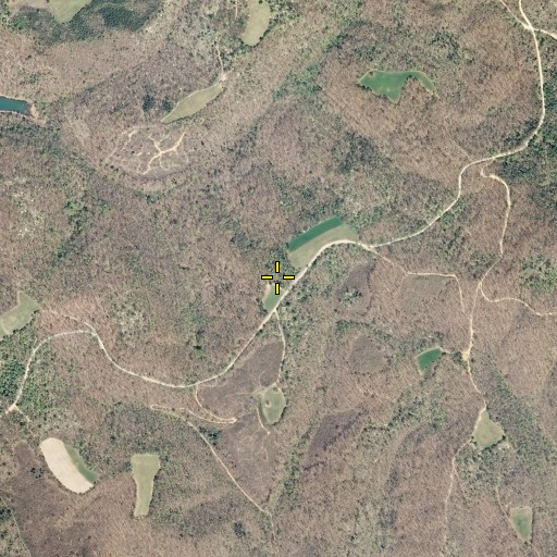Aerial/Satellite Image of Dividing, TN