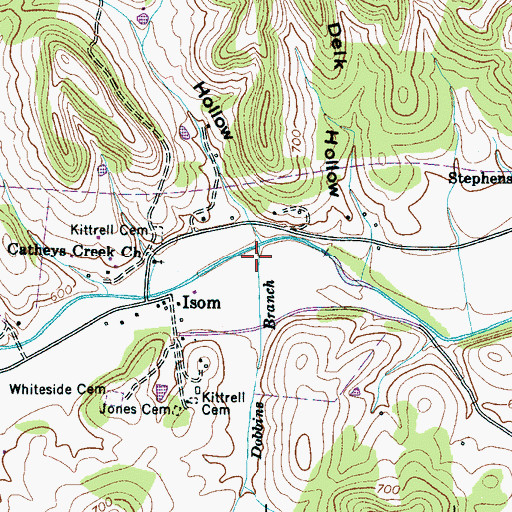 Topographic Map of Dobbins Branch, TN