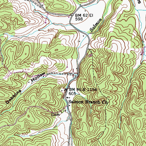 Topographic Map of Dobbins Hollow, TN