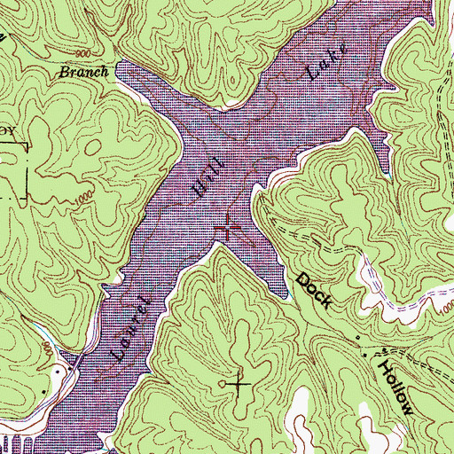 Topographic Map of Dock Hollow, TN