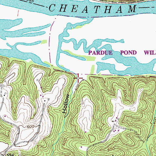 Topographic Map of Doe Hollow, TN