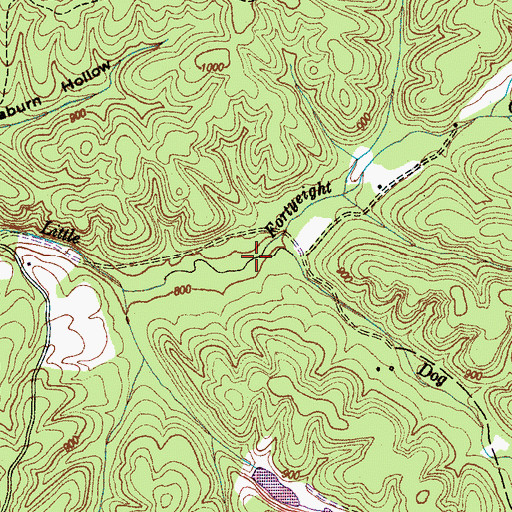 Topographic Map of Dog Creek, TN