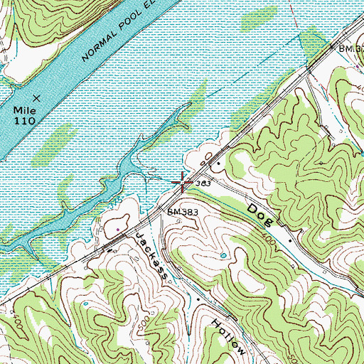 Topographic Map of Dog Hollow, TN