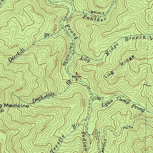 Topographic Map of Doghobble Branch, TN