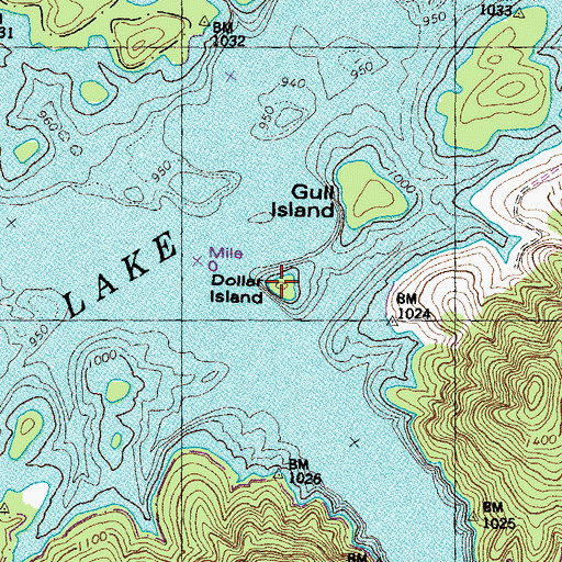 Topographic Map of Dollar Island, TN