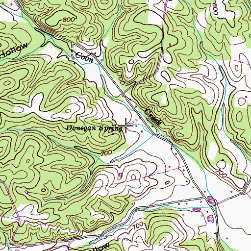 Topographic Map of Donegan Spring, TN