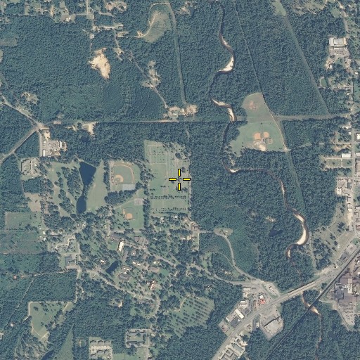 Aerial/Satellite Image of Union Cemetery, AL