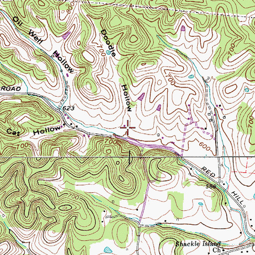 Topographic Map of Doodle Hollow, TN